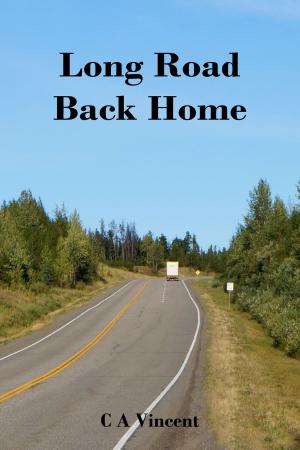 Cover of the book Long Road Back Home by Sarah Morgan