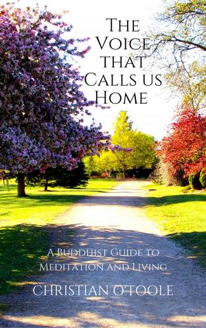 Cover of The Voice that Calls Us Home