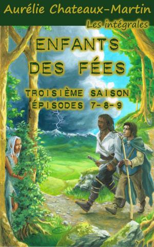 Cover of the book Enfants des Fées - Troisième Saison by 李潼