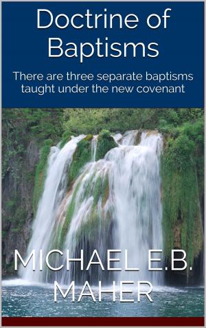Cover of the book Doctrine of Baptisms by Michael E.B. Maher
