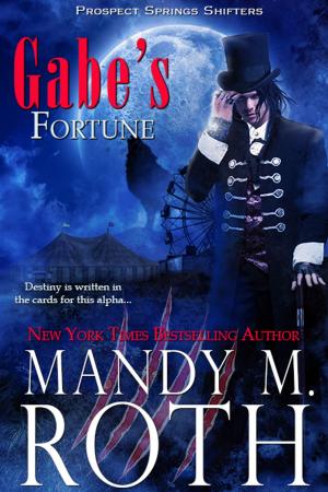 Cover of the book Gabe’s Fortune by Mandy Roth