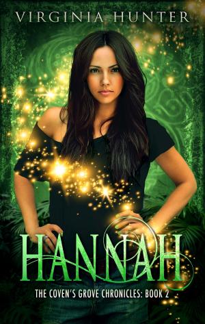 Cover of the book Hannah by Lori Meyer