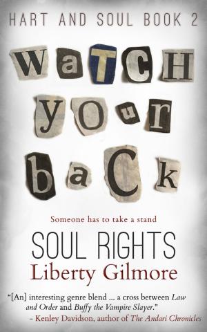 Cover of the book Soul Rights by Stephen C. Barns, Ryan D. Duval