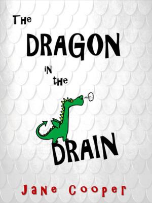 Book cover of The Dragon in the Drain