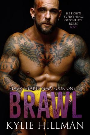 Cover of the book Brawl by Maggie Shayne
