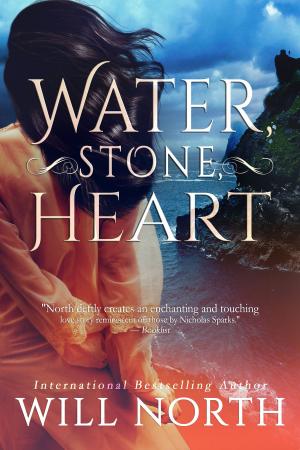 Book cover of Water, Stone, Heart