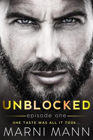 Cover of the book Unblocked by AJ Renee