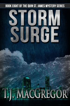 Cover of the book Storm Surge by David Niall Wilson