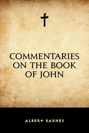 Cover of the book Commentaries on the Book of John by Baron George Gordon Byron Byron