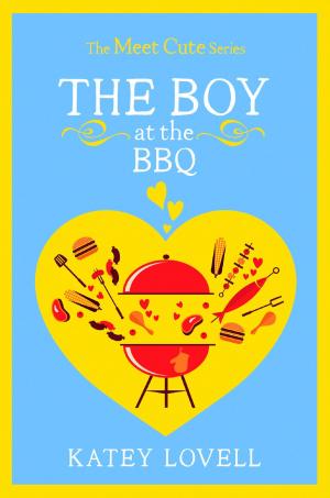 Cover of the book The Boy at the BBQ: A Short Story (The Meet Cute) by Buffy Andrews