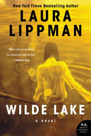 Book cover of Wilde Lake