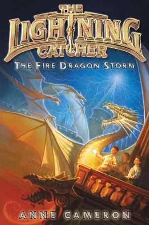 Cover of the book The Fire Dragon Storm by Erin Entrada Kelly