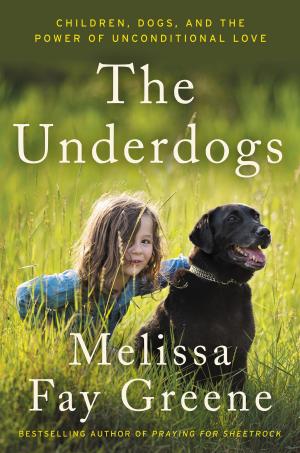 Cover of the book The Underdogs by Sylvie Simmons