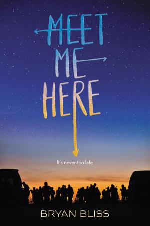 Cover of the book Meet Me Here by Herman Parish