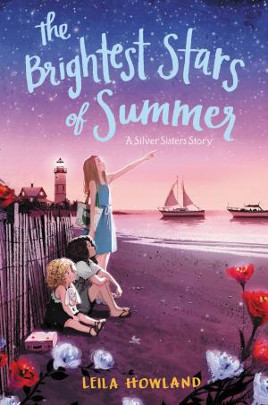 Cover of the book The Brightest Stars of Summer by Jeff Brown