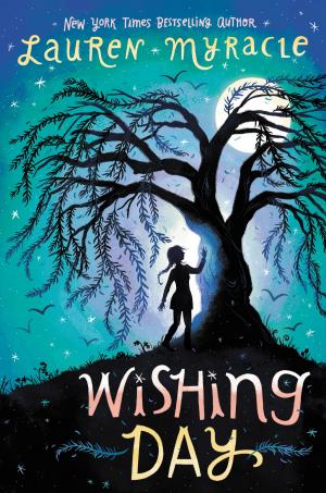 Cover of the book Wishing Day by Jodi Meadows