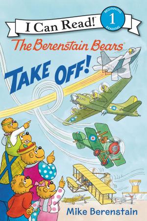 Cover of the book The Berenstain Bears Take Off! by Stephen Juan