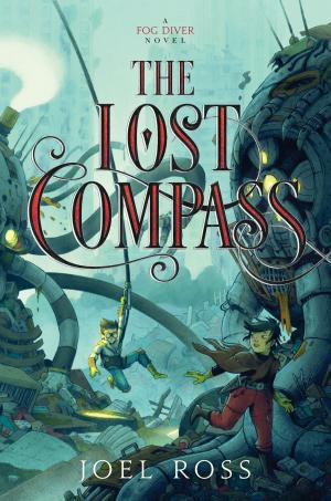 Cover of the book The Lost Compass by Erin Hunter