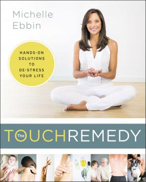 Cover of the book The Touch Remedy by Julie Jane Clarrison