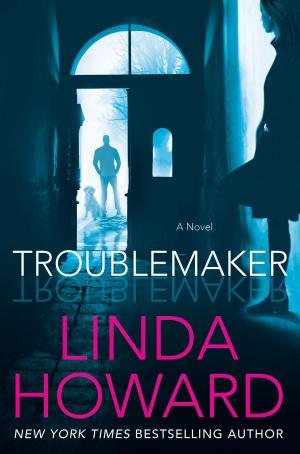 Cover of the book Troublemaker by Gillian Flynn