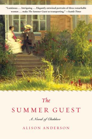 Book cover of The Summer Guest
