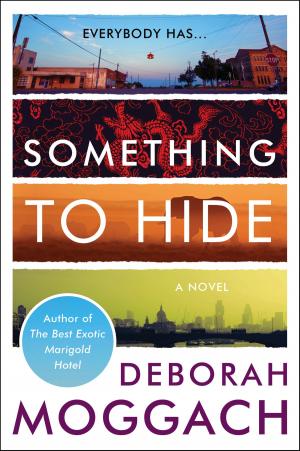 Cover of the book Something to Hide by Tom Harper