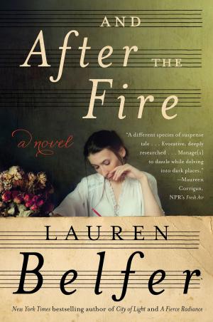 bigCover of the book And After the Fire by 