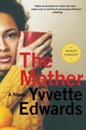 Cover of the book The Mother by Rin Daniels