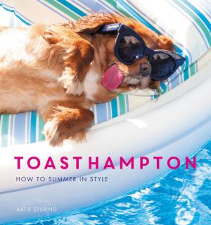 Cover of the book ToastHampton by Dermot Power