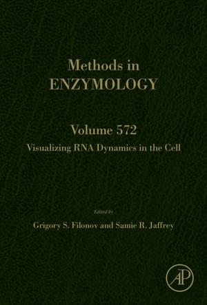 Cover of the book Visualizing RNA Dynamics in the Cell by Amedea Seabra