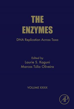 Cover of the book DNA Replication Across Taxa by Jinghai Li, Guy B. Marin