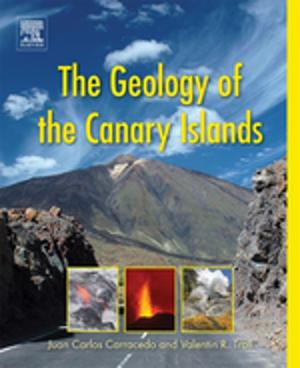 Cover of the book The Geology of the Canary Islands by Louis E. Frenzel