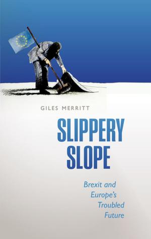 Cover of the book Slippery Slope by Adrian Poole