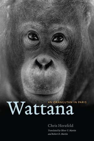 Cover of the book Wattana by Lila Corwin Berman