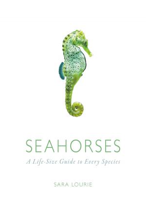 Cover of the book Seahorses by Katherine C. Kellogg
