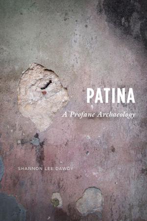 Book cover of Patina
