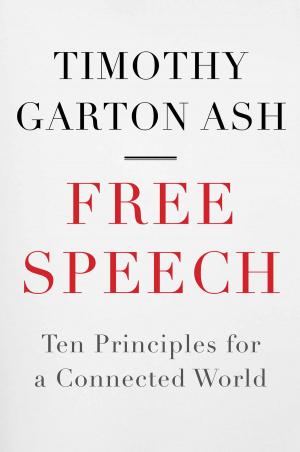 Cover of the book Free Speech by L. Curtis Jr.