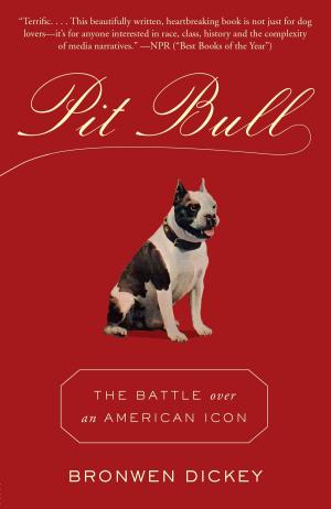 Cover of the book Pit Bull by Rob Clewley