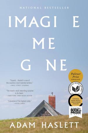 Cover of the book Imagine Me Gone by Louise Herman