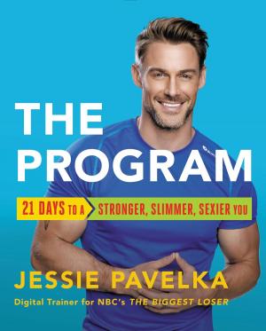 Cover of the book The Program by Stanley I. Greenspan, Serena Wieder