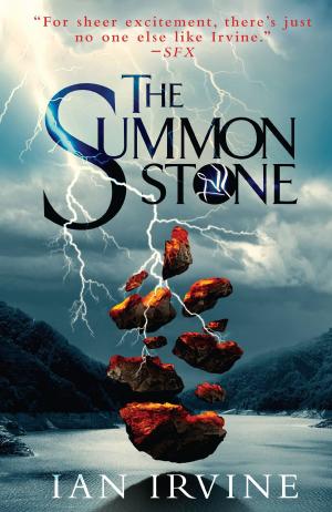 Cover of the book The Summon Stone by Iain M. Banks