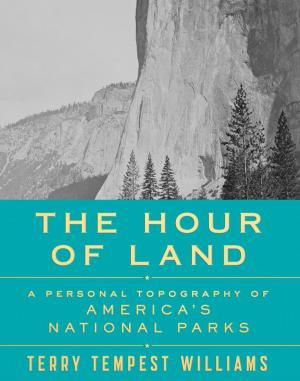 Book cover of The Hour of Land
