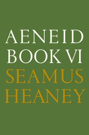 Cover of the book Aeneid Book VI by Omar Robert Hamilton