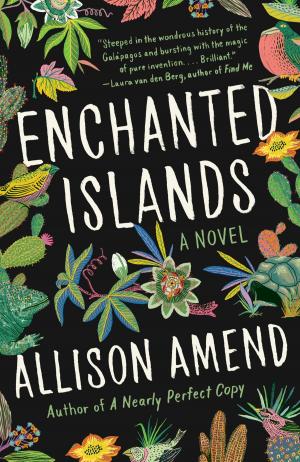 Cover of the book Enchanted Islands by Alison DeLuca