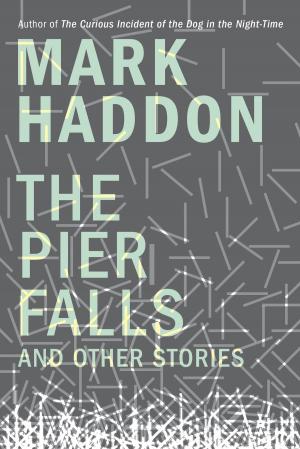 Book cover of The Pier Falls