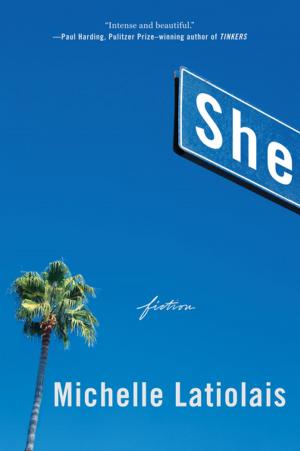 Cover of the book She: Fiction by Walter Alvarez