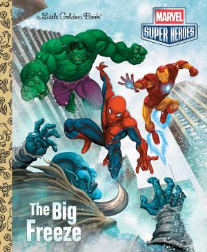 Cover of the book The Big Freeze (Marvel) by Diane Kredensor