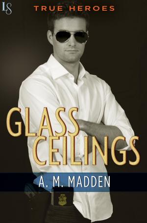 bigCover of the book Glass Ceilings by 