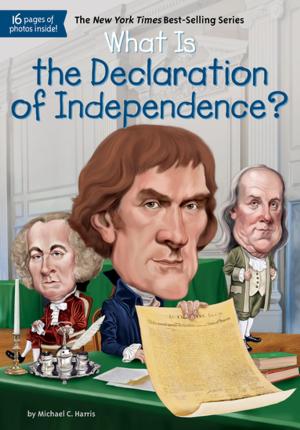 Cover of the book What Is the Declaration of Independence? by Melinda Beatty