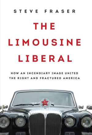 Cover of the book The Limousine Liberal by Jacob Soll